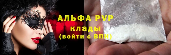 стаф Ладушкин
