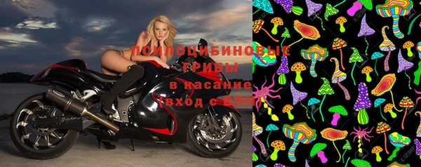 спиды Лабытнанги