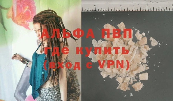 стаф Ладушкин